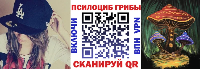 Галлюциногенные грибы мицелий  OMG сайт  это какой сайт  Юхнов 
